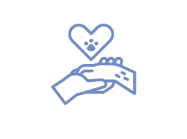 programs icon